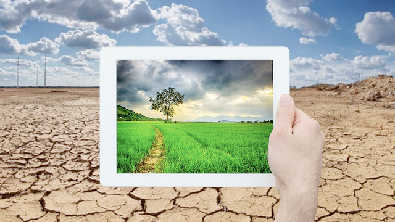 How is Tech Helping Fight Climate Change? - Grey Ring